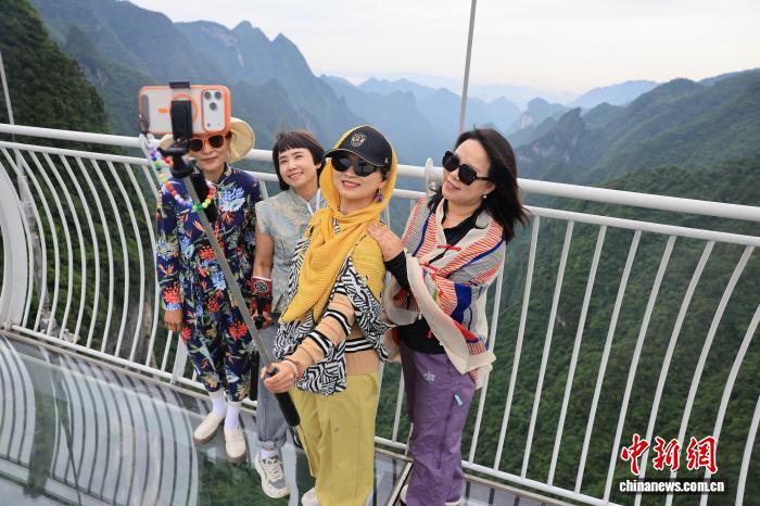 赏金女王：聚焦数字娱乐前沿动态 - 赏金女王